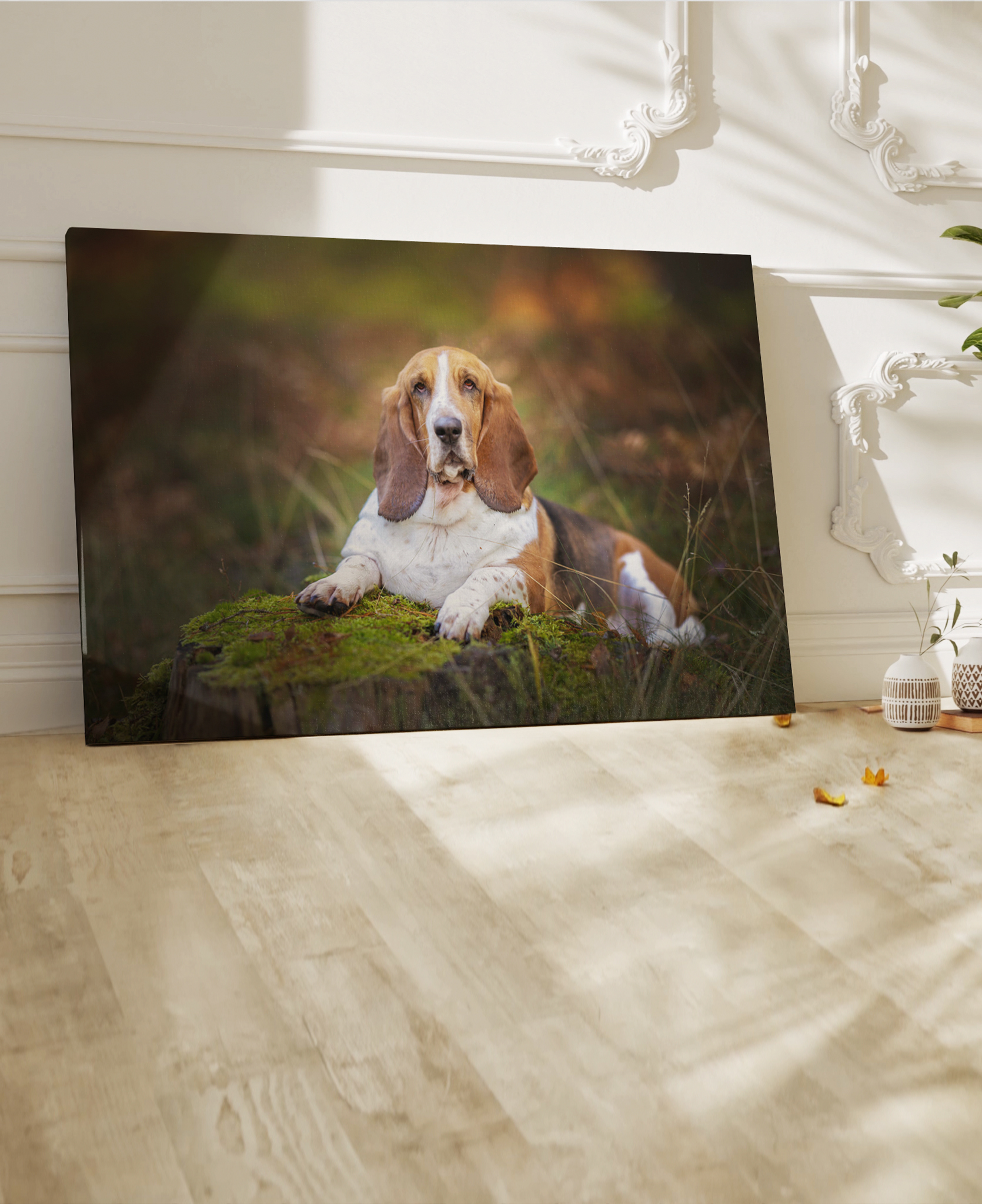 hundporträtt i naturen - Hundfotograf i Jönköping hundporträtt i naturen